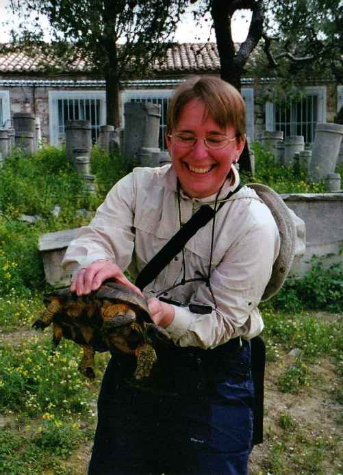 06010 tortoise.jpg